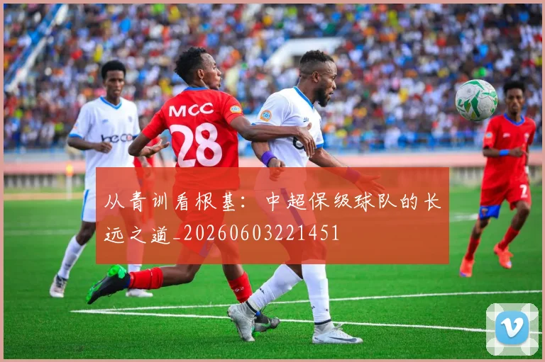 从青训看根基:中超保级球队的长远之道_20260603221451